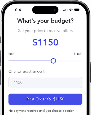 iPhone showing budget selection